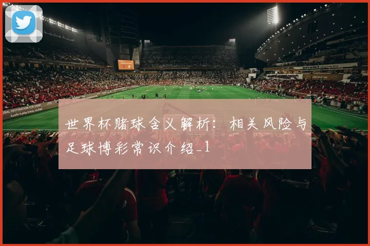 世界杯赌球含义解析：相关风险与足球博彩常识介绍_1
