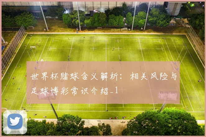 世界杯赌球含义解析：相关风险与足球博彩常识介绍_1