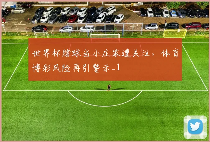 世界杯赌球当小庄家遭关注，体育博彩风险再引警示_1